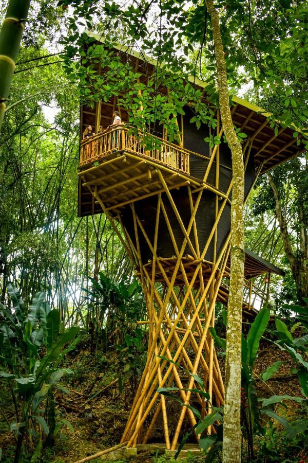 Eco Hotel Hacienda El Diamante Buga Ngoại thất bức ảnh